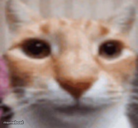 Pablo - meme generator image preview