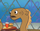 Sadly I Am Only An Eel