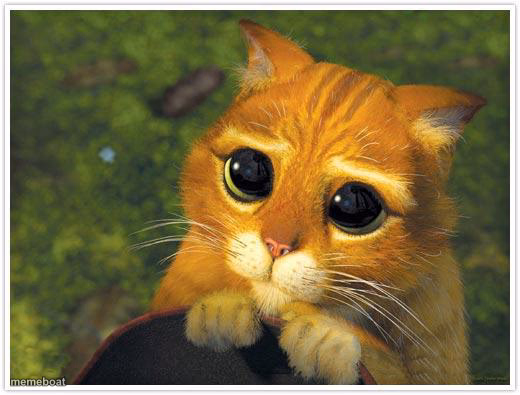 Shrek Cat - meme generator image preview