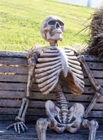 Skeleton on bench