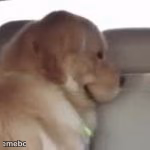 Smiling Evil Dog - meme generator image preview