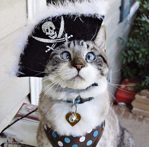 Spangles - meme generator image preview