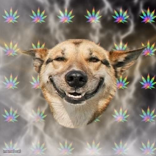 Stoner Dog - meme generator image preview