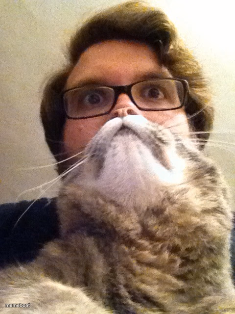 Surprised CatMan - meme generator image preview