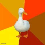 Tech Impaired Duck