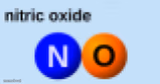 NO