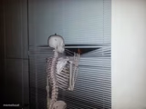 Waiting Skeleton