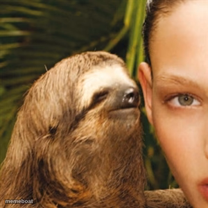 Whisper Sloth - meme generator image preview