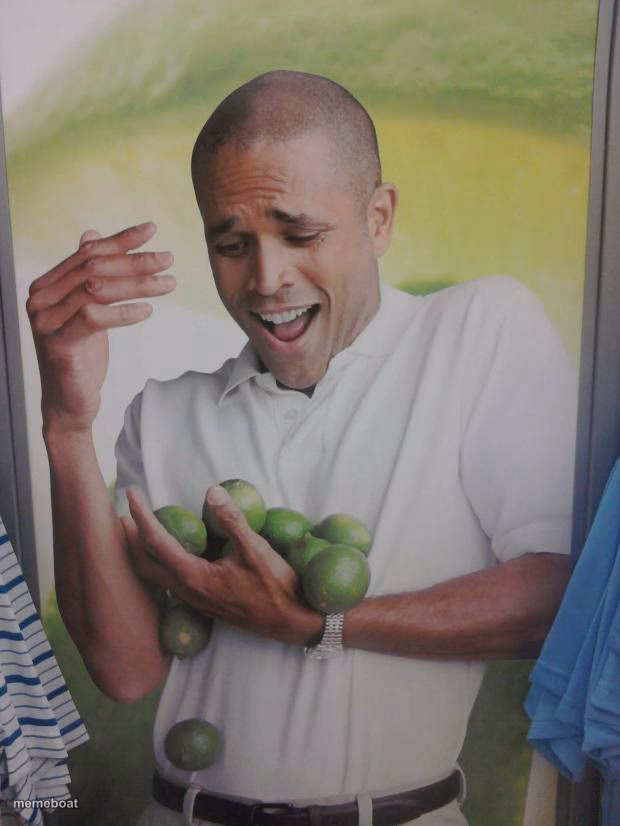 Why Can't I Hold All These Limes - meme generator image preview