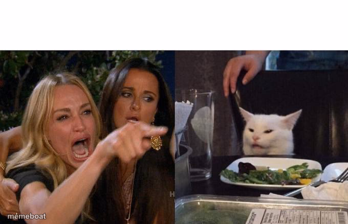 Woman Yelling At Cat - meme generator image preview