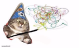Woosh cat
