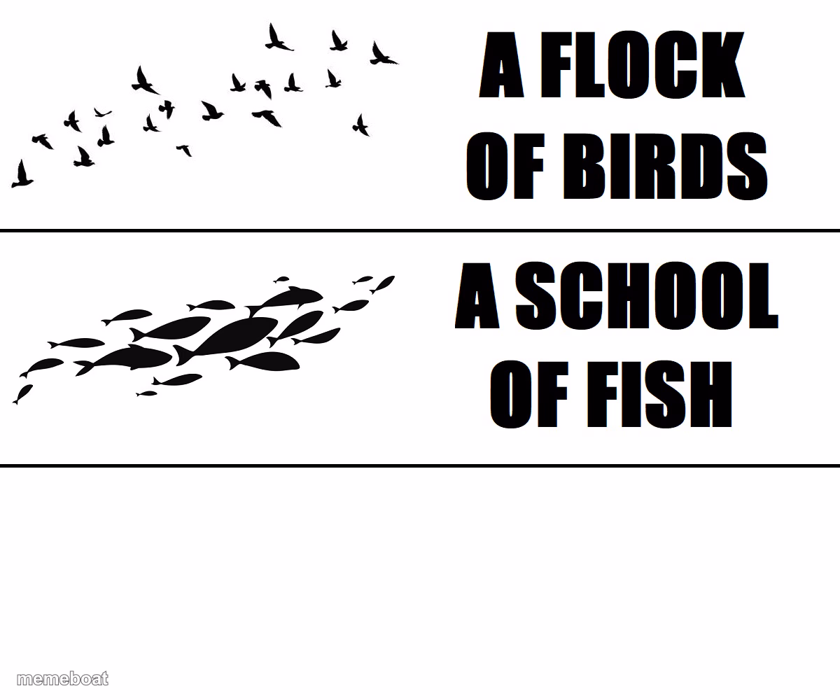 A blank of blank - meme generator image preview