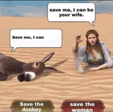 A donkey and a girl