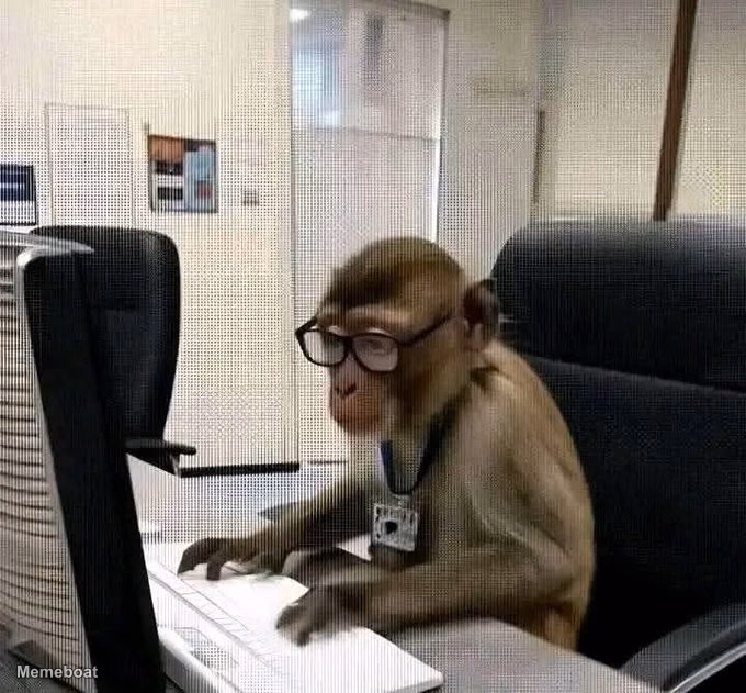 A Monkey in Glasses Working at a Computer - meme generator image preview