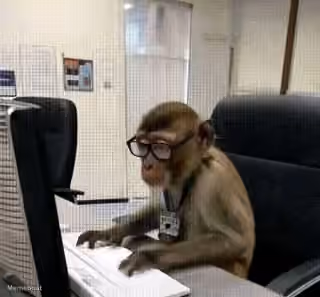 A Monkey in Glasses Working at a Computer