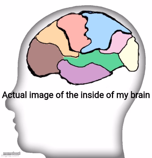 Actual image of the inside of my brain - meme generator image preview