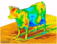 Aerodynamics of a cow - meme generator image preview