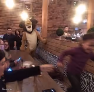 Alex The Lion In Restaurant