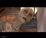Alien Dying