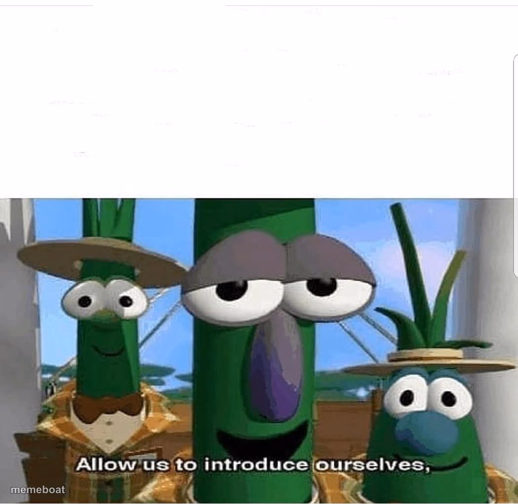 Allow us to introduce ourselves - meme generator image preview