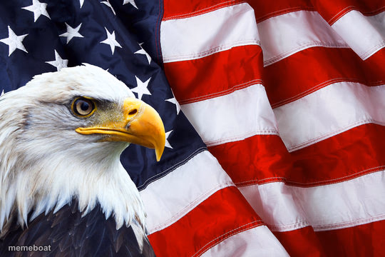 American Eagle with flag - meme generator image preview