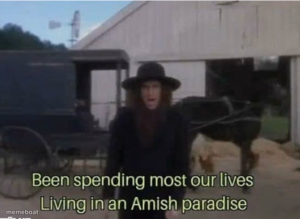 Amish Paradise - meme generator image preview