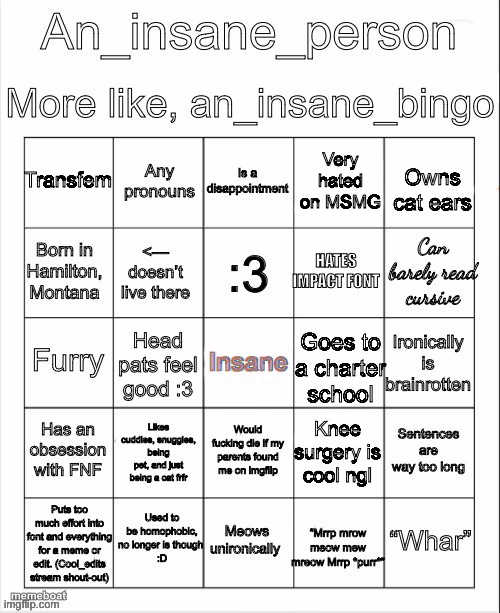 An insane bingo (new years day 2025) - meme generator image preview