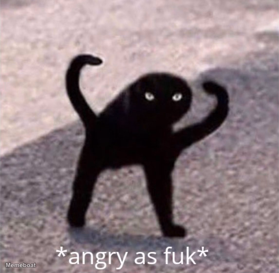 "Angry as Fuk" - meme generator image preview
