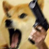 Angry doge with gun