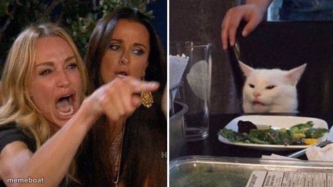 Angry lady cat - meme generator image preview