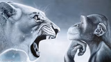 Angry Lion vs Chill Monkey