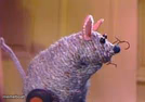 Roland Rat