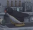 angry pingu naruto running