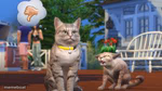 Angry Sims 4 Trailer Cat