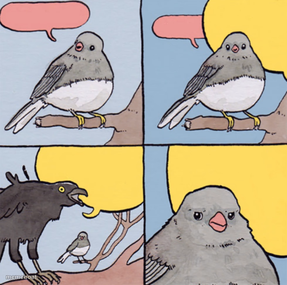 annoyed bird fixed - meme generator image preview
