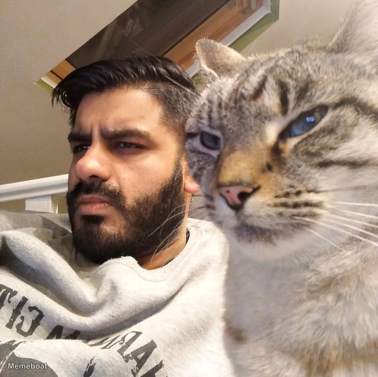 Annoyed Man with Cat - meme generator image preview