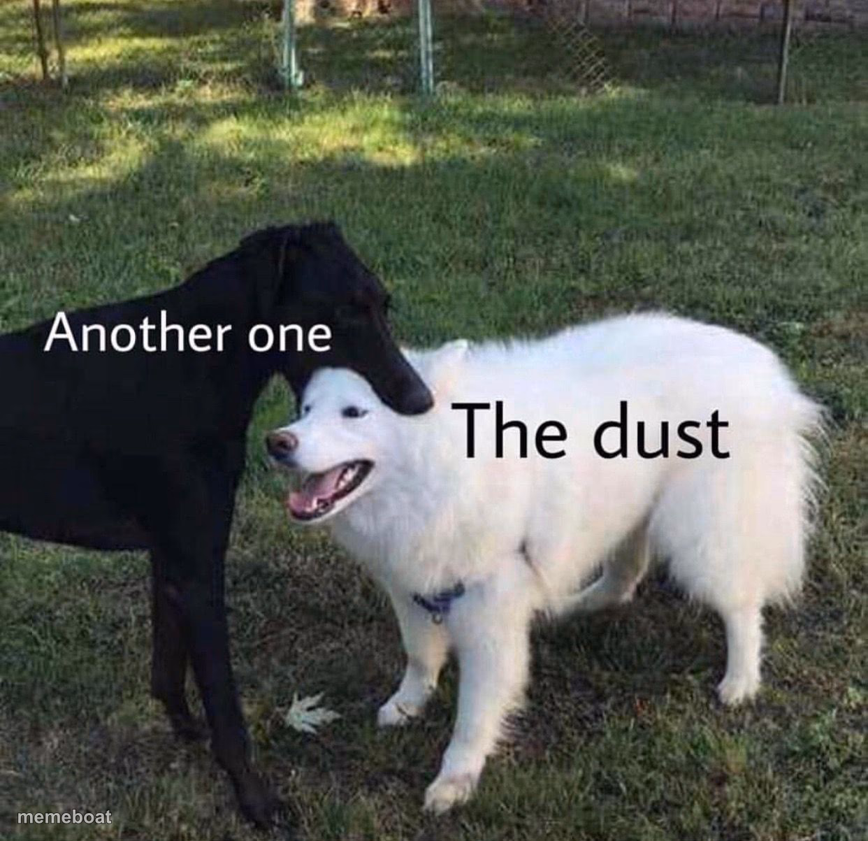 Another one bites the dust - meme generator image preview