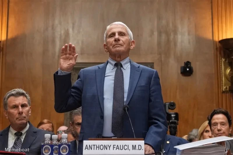Anthony Fauci Testifying - meme generator image preview