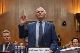Anthony Fauci Testifying