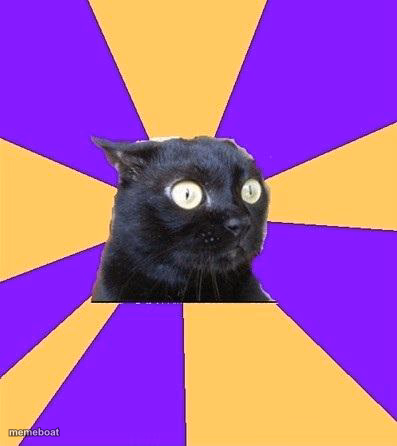anxiety cat - meme generator image preview