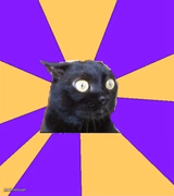 anxiety cat