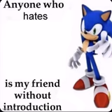 Anyone Who Hates Sonic