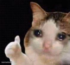 Approved crying cat - meme generator image preview