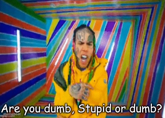 Are you dumb stupid or dumb? - meme generator image preview