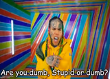 Are you dumb stupid or dumb?