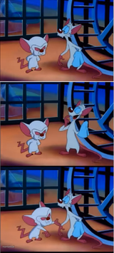 Pinky And The Brain Scheming