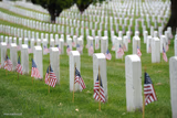 Arlington National Cemetery