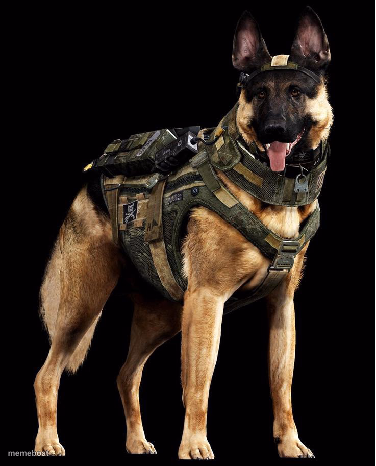 Tactical Military Dog - meme generator image preview