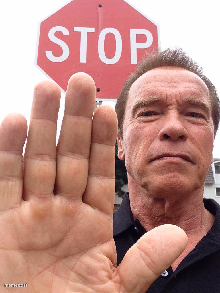 Arnold Schwarzenegger Stop - meme generator image preview