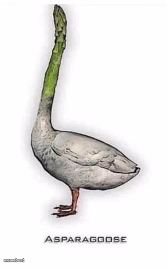 Asparagoose - meme generator image preview
